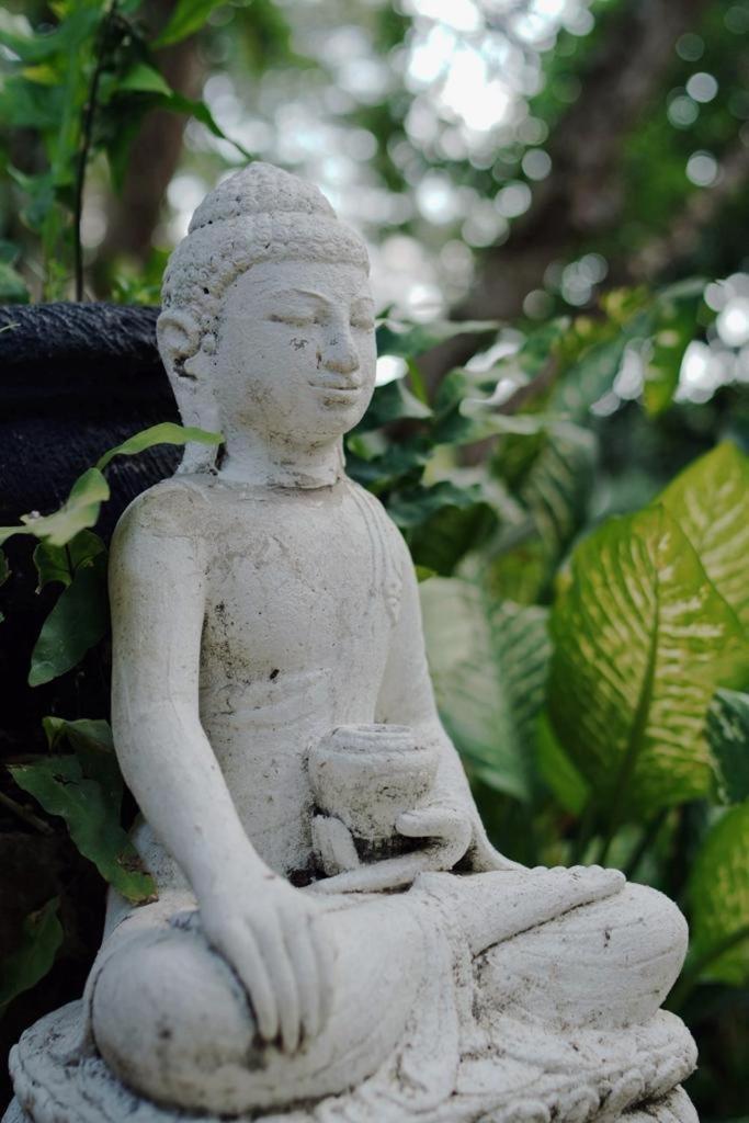 Sattva Yoga Retreat Villas Canggu  Ngoại thất bức ảnh